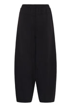 Load image into Gallery viewer, Baya Vincent Pants InWear